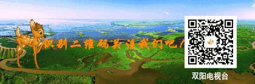 湿气重吃什么祛湿排毒好,健康生活与常见疾病预防