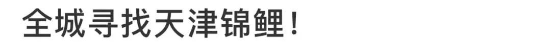 限行提醒｜神秘“锦鲤”刷爆朋友圈？*局骗**！
