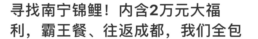限行提醒｜神秘“锦鲤”刷爆朋友圈？*局骗**！