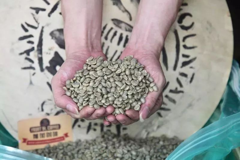 父亲节真情献礼！新款口粮豆「云南小粒咖啡」9.9尝鲜！利姆曼特宁9.9！当季挂耳19.9！组合挂耳29.9！全国包邮