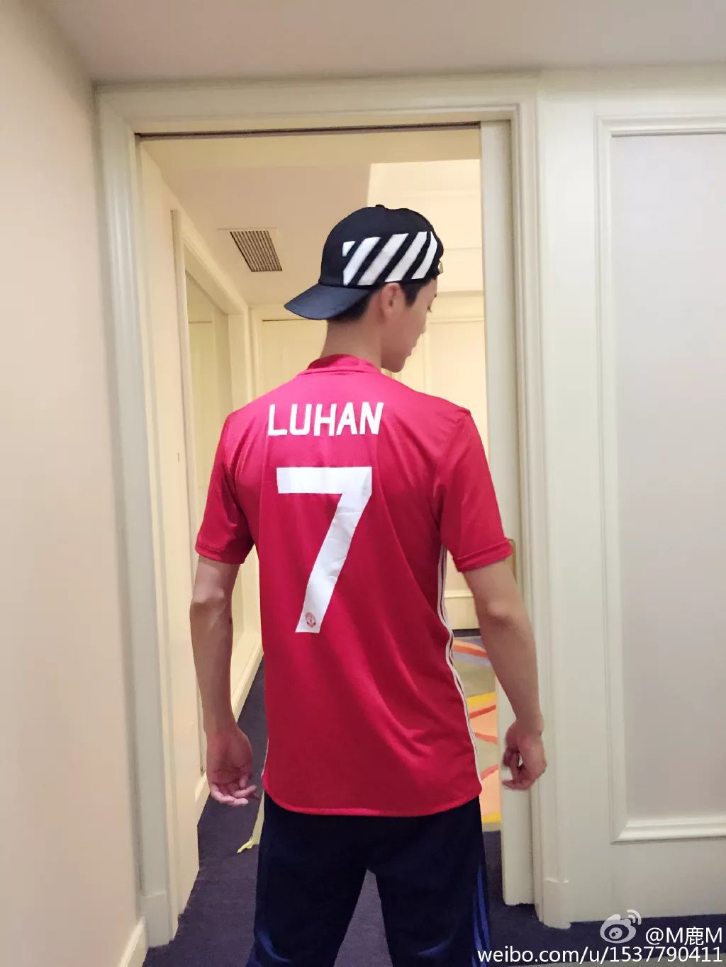 鹿晗张学友谁更红,鹿晗你干嘛呀原版视频
