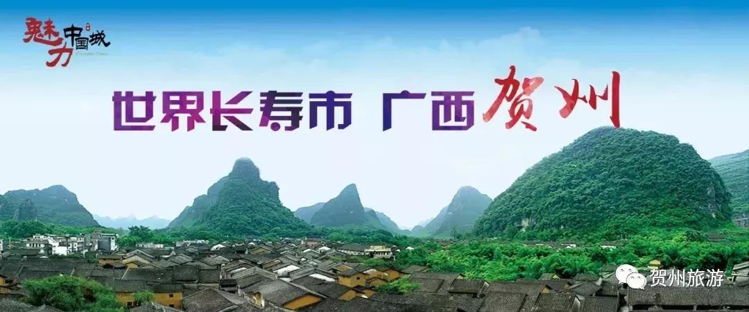 新市政公园,再过一个月这个地方美到颠覆想象