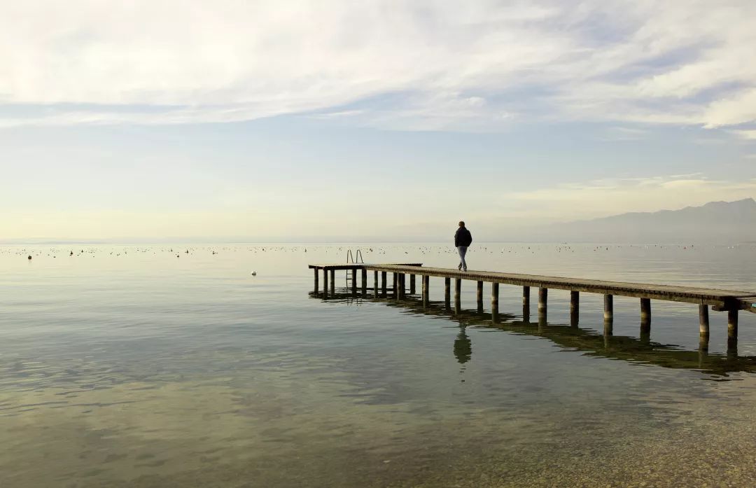 晨读别让人生输给心情,晨读你对生活的态度决定你的心态