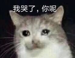 注意！多款网红假港药被查获，你爱买的活络油、双飞人……有可能是假的！