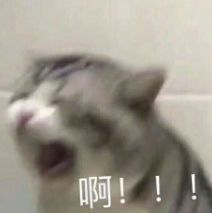 注意！多款网红假港药被查获，你爱买的活络油、双飞人……有可能是假的！