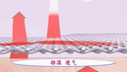 脚臭袜冰丝材质透气不闷脚,秋冬透气不臭脚棉袜