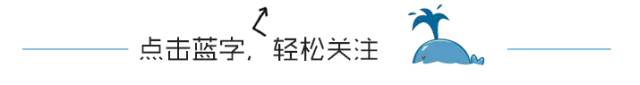 南极人假还是恒源祥假,南极人恒源祥都是卖吊牌吗