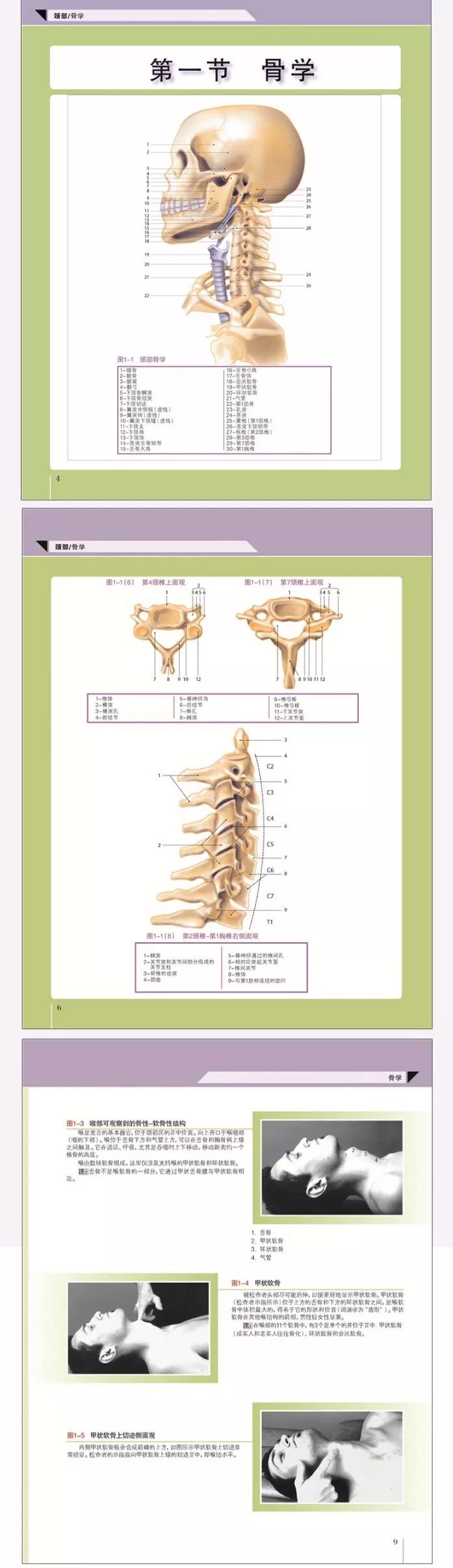 康复人必学的解剖教程/视频/电子书大合集，点击领取