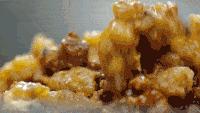 陈晓卿陈导：人间风味没我不爱吃的双手曾沾满天津皮皮虾的鲜血