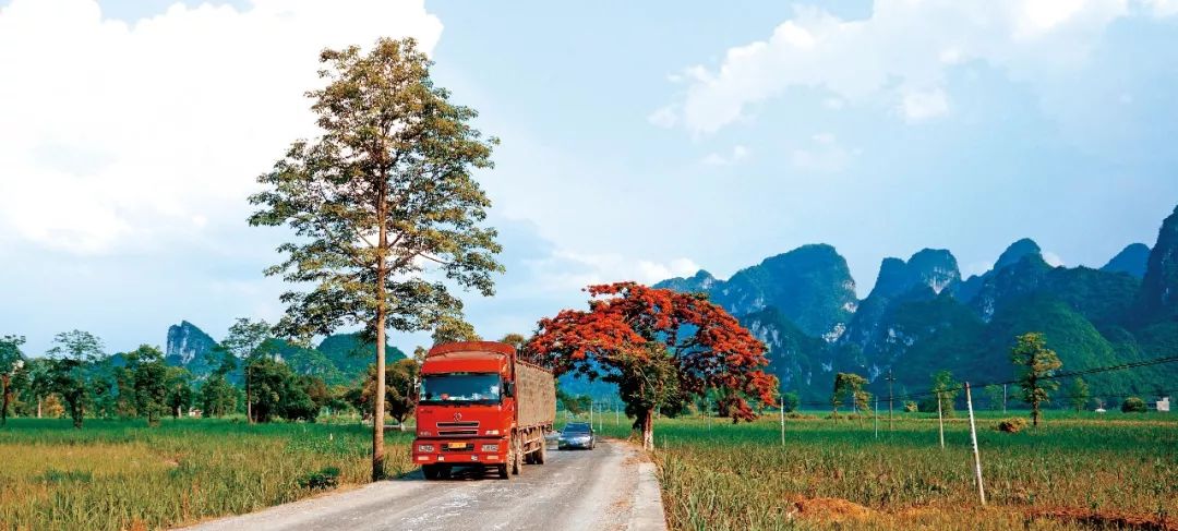 互联网道路运输便民政务查询系统,全国道路运输信息查询官网