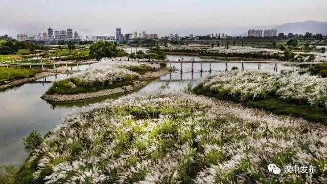 三区建设贡献力量,召开三市建设研讨会