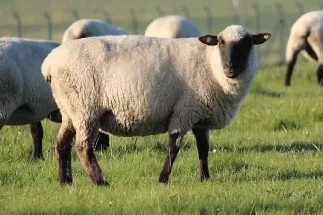 冬季皮肤容易发痒红肿？想要好皮肤，赶紧扔掉手中的洗面奶！