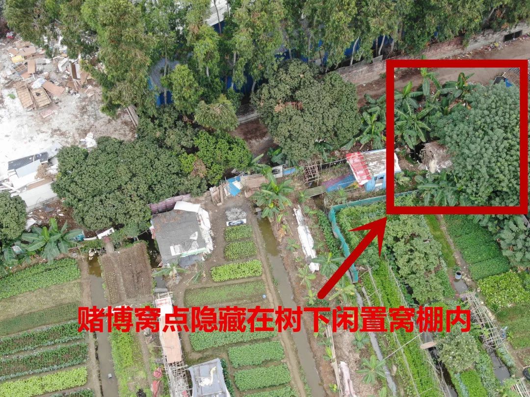 派出所捣毁聚众赌博窝点抓获16人,公安端掉流动赌博窝点22人被抓