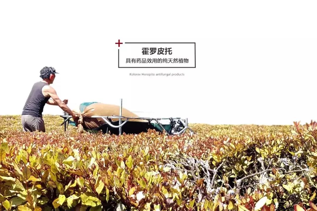 干裂救星护手霜,唇干裂用什么润唇好