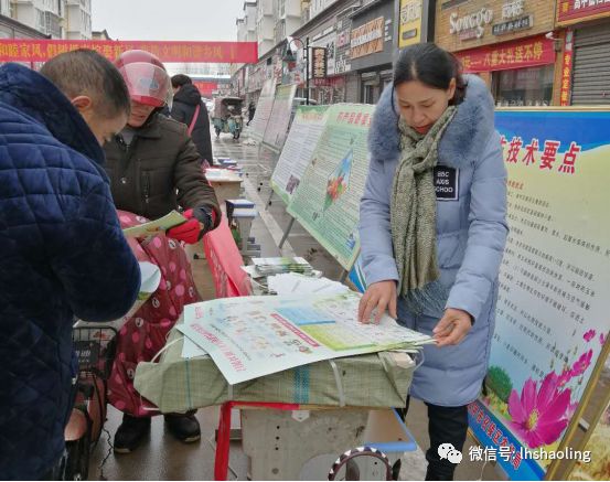 召陵新闻2018,召陵新闻