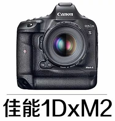 「领会连载」Lightroom领会连载12——照片调整工具-3