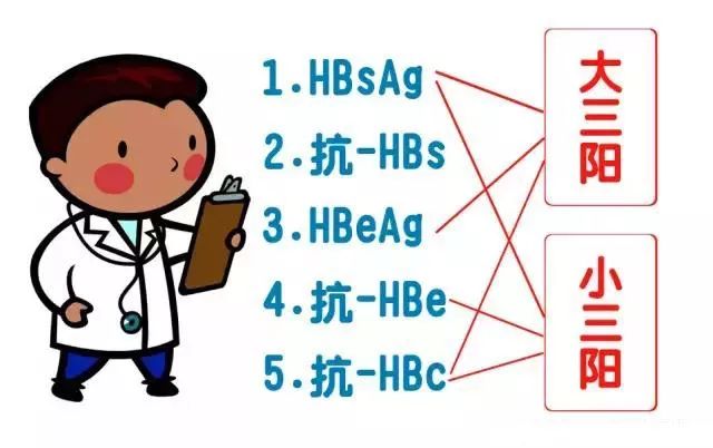 乙肝五项四五阳性如何解读,简述乙肝五项指标及其临床意义