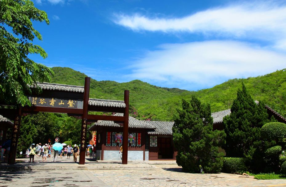 女婿搞定岳父母电视剧,女婿搞定老丈人的话