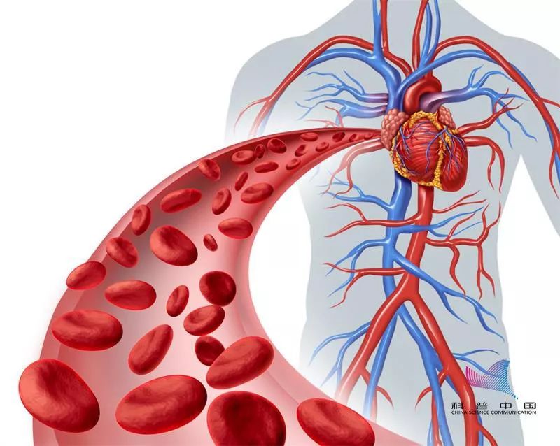 洗血净化,血液净化揭秘