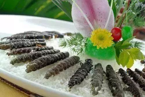去四川5天美食攻略,从川a到川y