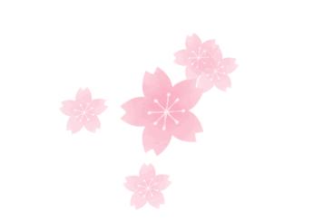 句句如珠抒风云，意深远，韵悠长——记第十届淮海经济区妇科肿瘤微创沙龙