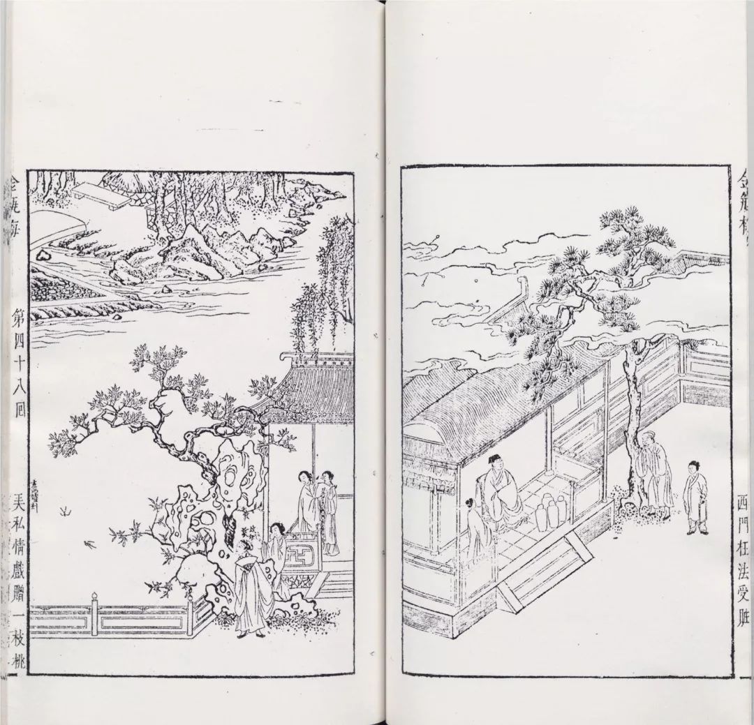 日本蝴蝶兰插画图片,红掌花花瓶插画