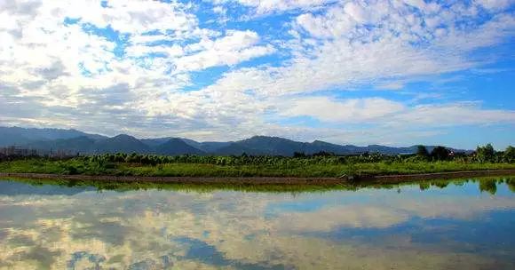 武汉六大湿地公园,百湖之市武汉