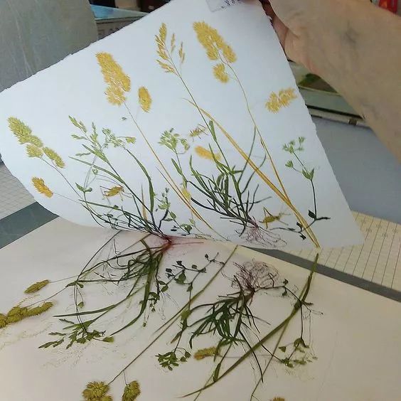 永生花diy手工,1700块的永生花