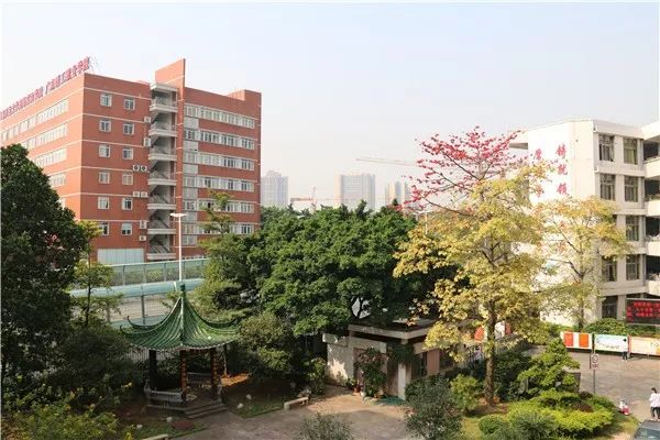 桂江一中学生,桂江一中的现状
