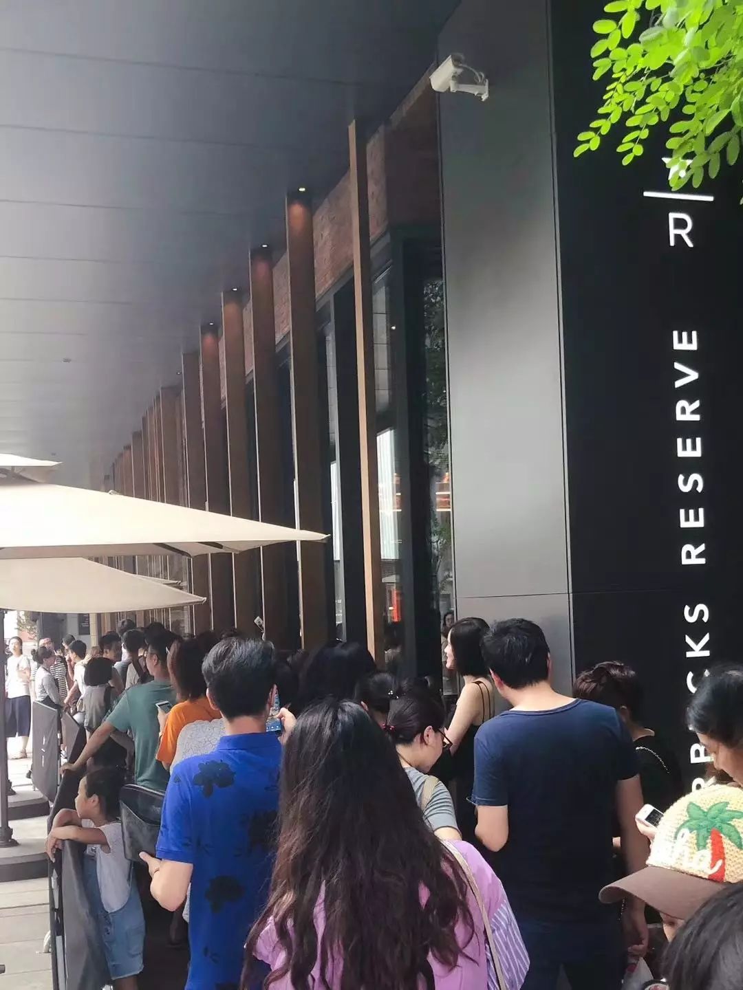 星巴克杯型营销,星巴克猫爪杯的营销效果