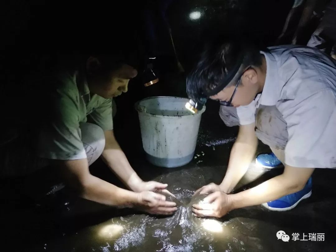 瑞丽哪里做水利工程,瑞丽市政清淤