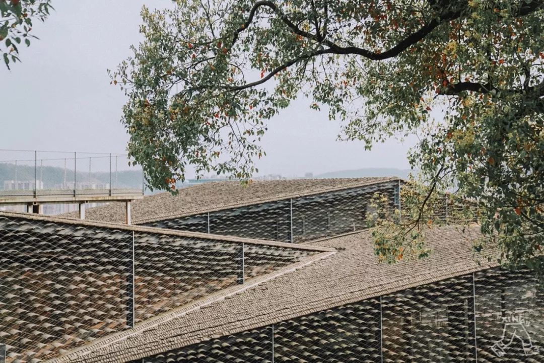 杭州网红地标建筑,杭州标志性建筑拍照