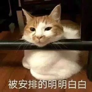 周黑鸭被曝光,周黑鸭做口红卖了多少
