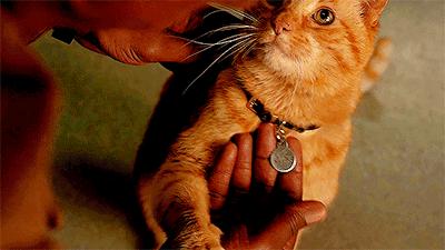 跟刘昊然在非洲过了6天5夜，发现他其实就是个话痨加多动症啊……