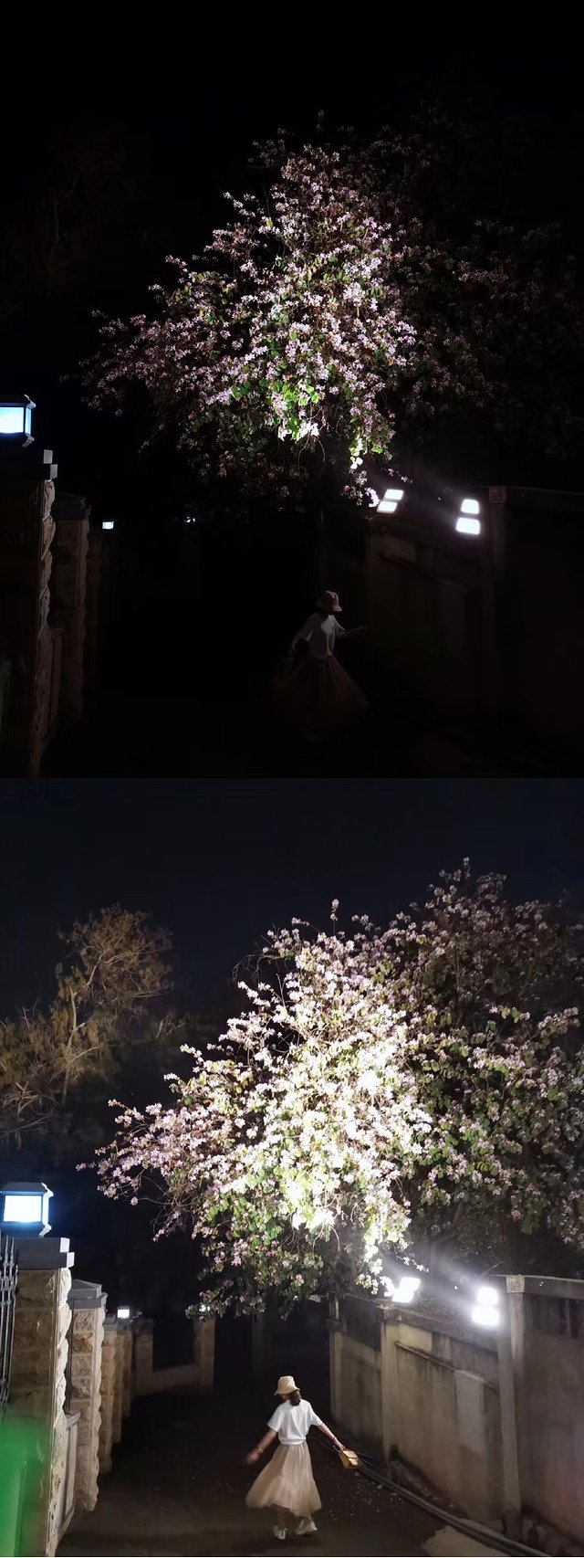 厦门鼓浪屿介绍,厦门鼓浪屿4日游攻略