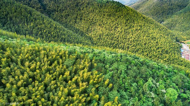 天目湖南山竹海三黑三白,南山竹海加天目湖二日游