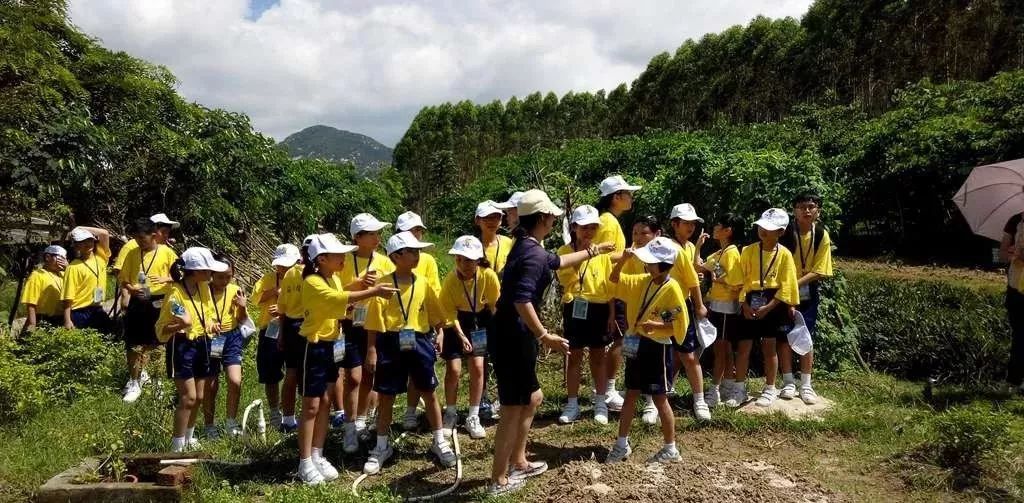 云霄春节旅游攻略,云霄县国庆旅游攻略