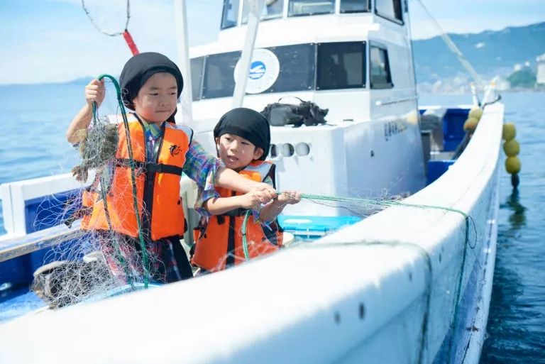 花火大会免费观赏位,花火大会观赏位