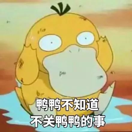 可达鸭脑壳疼,可达鸭头痛怎么回事