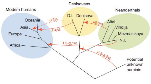 8亿男人都是11个帝王的后代？中国人到底是不是本土进化来的？答案令人惊诧！