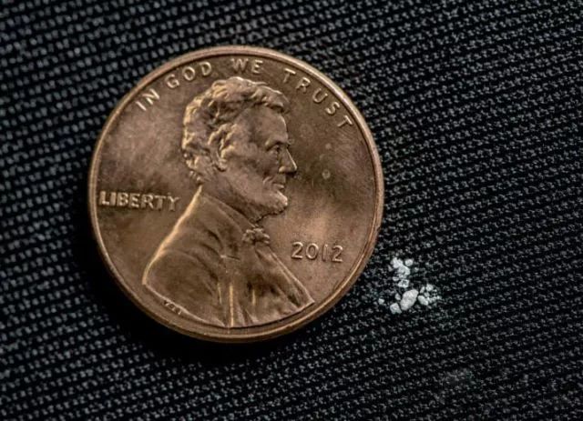 闻毒品气味算吸毒吗,缉毒犬闻毒