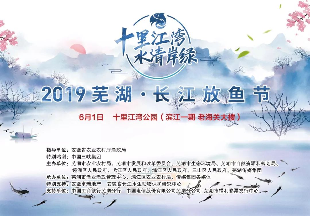 南京金吉鸟健身破产清算,金吉鸟健身倒闭了吗