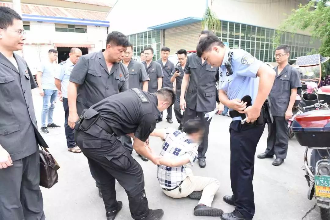 两级法院集中开展雷霆行动,法院推动夏季攻势