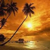 华星创业股吧,华星创业股票股吧最新