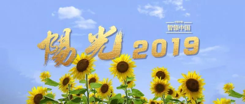 心教之，智启之，美化之！中智深圳、上海、青岛、大连培训咨询业务动态