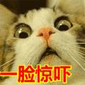去黑头角质平价水乳,去黑头日本洗面奶