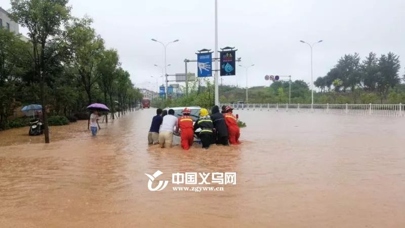娴欐睙涔変箤杩欎袱澶╃殑瑙嗛,涔変箤杩欎袱澶╃殑瑙嗛