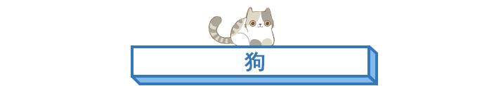 属相婚配表大全2023年,属相婚配表大全免费