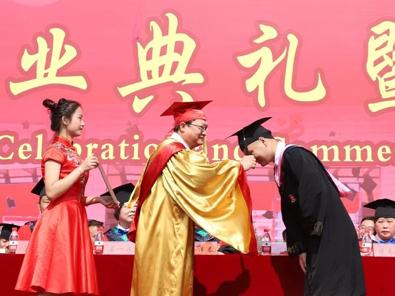 再见了我的大学央视纪录片,再见了我的大学诗朗诵