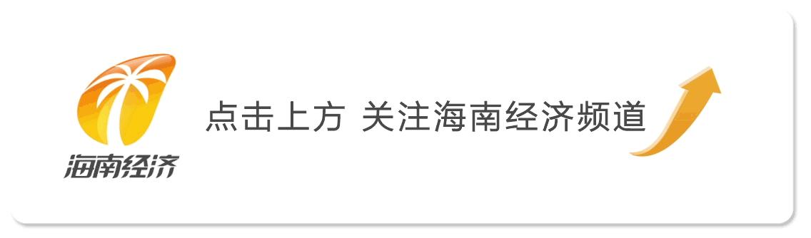 海南特别小的虫子跟小黑点一样大,海南好多黑色小虫子